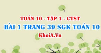 Bài 1 trang 39 SGK Toán 10 tập 1 Chân trời sáng tạo